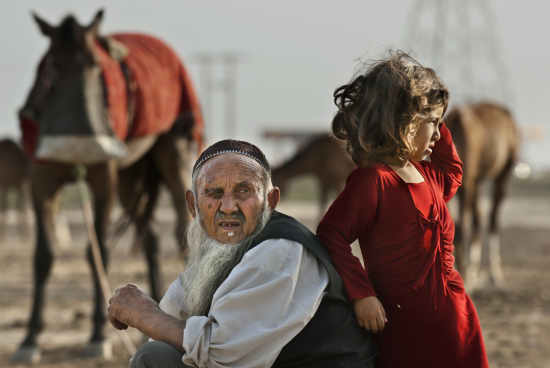 هم‌ذات‌پنداری با اسب / روایتی از مستند «آت‌لان»، برنده تندیس بهترین مستند سی‌وسومین جشنواره فیلم فجر